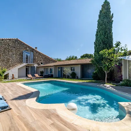 Mazet Pierre De Vers - Des Olivers