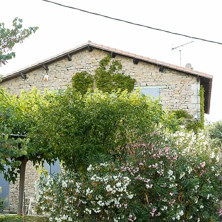 Mazet Pierre De Vers - Des Olivers Ним