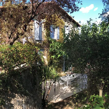 Mazet Pierre De Vers - Des Olivers * Nîmes