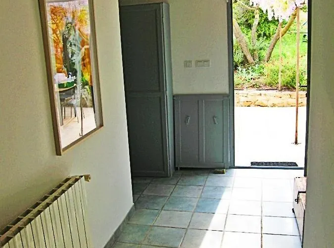 Mazet Pierre De Vers - Des Olivers *