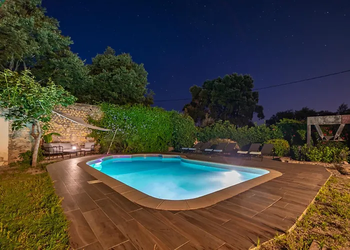 Mazet Pierre De Vers - Des Olivers *