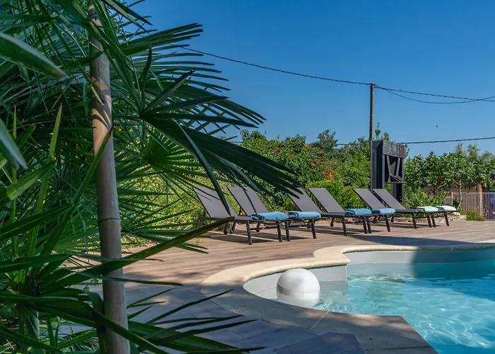 Mazet Pierre De Vers - Des Olivers * Nîmes