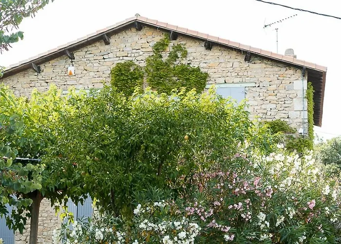 Mazet Pierre De Vers - Des Olivers Nîmes