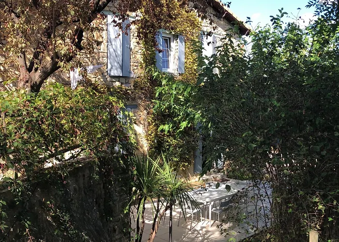 Mazet Pierre De Vers - Des Olivers * Nîmes